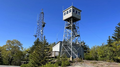 A tall communication tower and a fire lookout tower stand against a clear blue sky, surrounded by trees.
