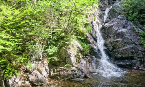 A serene waterfall cascading over rocks, surrounded by lush green foliage and trees.
