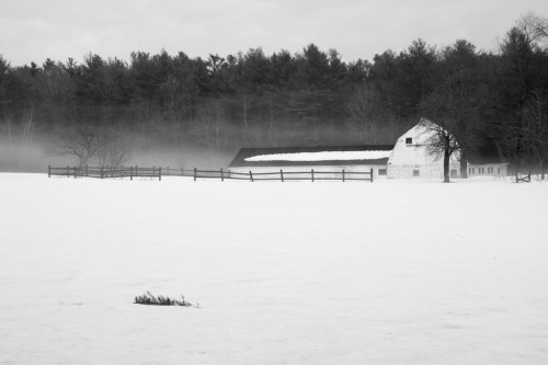 A snowy landscape features a white barn and a wooden fence, surrounded by trees in a misty, monochrome setting.