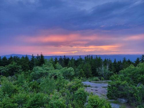 A vibrant sunset over a lush green landscape, with trees silhouetted against a colorful sky.