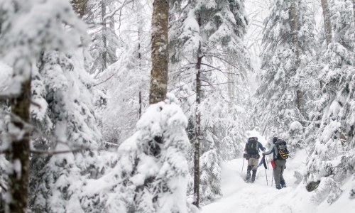 Two hikers navigate a snowy trail surrounded by tall, snow-covered trees in a winter forest.