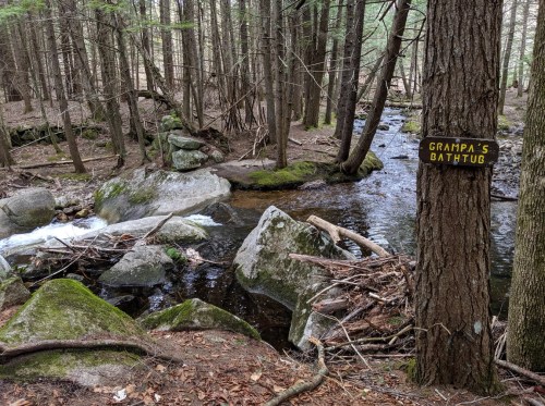 A serene forest scene with a stream, rocks, and a sign reading "Grampa's Bathtub" on a tree trunk.