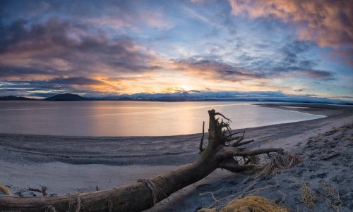 A serene beach scene at sunset, featuring a fallen tree and mountains in the distance under a colorful sky.