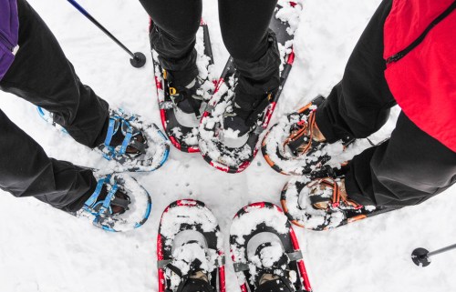 A group of people standing in a circle, wearing snowshoes on a snowy surface.