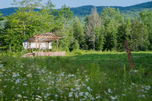 A wooden structure with a roof stands in a grassy field surrounded by trees and mountains, with wildflowers in the foreground.