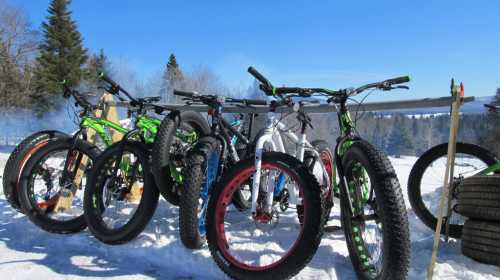 A row of fat-tire bikes parked on snow, with trees and a clear blue sky in the background.