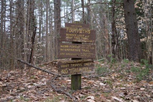 Wooden sign in a forest indicating footpaths, trails, and rules for the Webb Forest and surrounding areas.