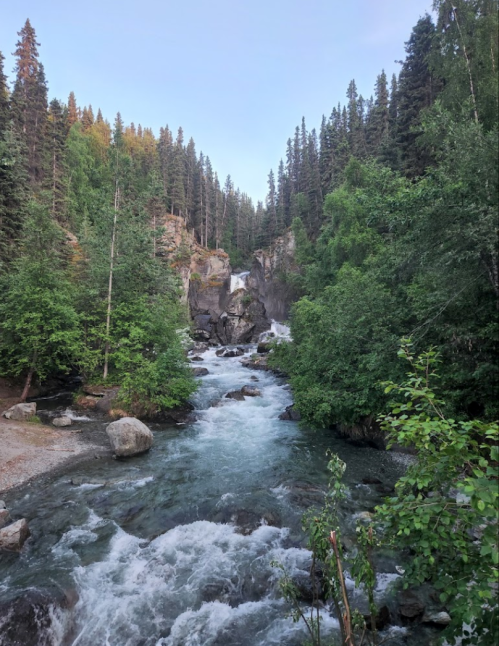 A serene river flows through a lush forest, with rocky banks and a waterfall in the background under a clear sky.