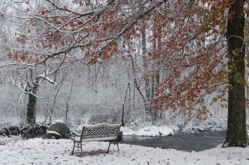 A snow-covered landscape with a bench beside a stream, framed by trees with autumn leaves.
