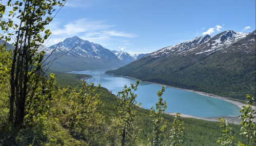A panoramic view of a serene lake surrounded by lush green forests and snow-capped mountains under a clear blue sky.