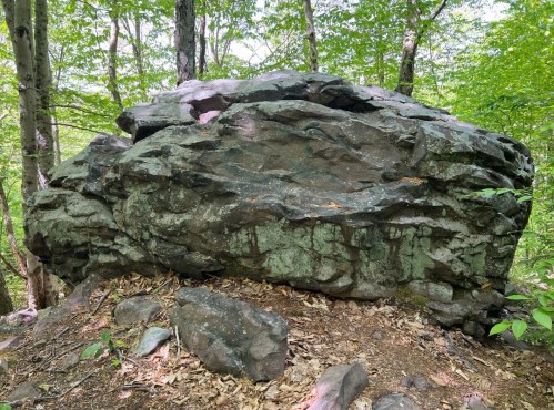 A large, rugged rock formation surrounded by green foliage and trees in a forested area.
