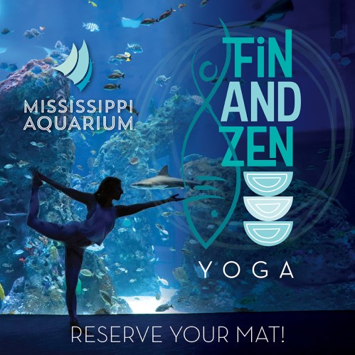 A person practicing yoga in front of an aquarium filled with fish, promoting "Fin and Zen Yoga" at the Mississippi Aquarium.