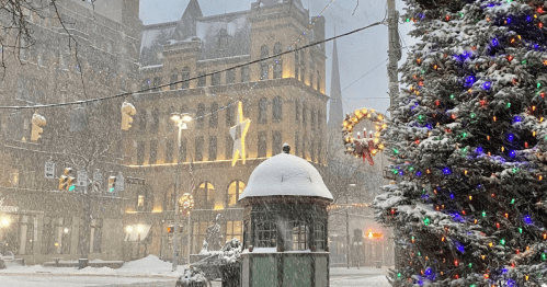 A snowy scene featuring a decorated Christmas tree and a historic building with festive lights in the background.