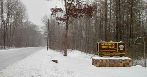 Snow-covered entrance to Nescopeck State Park, with trees lining a quiet road in a winter landscape.