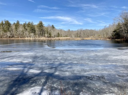 A serene frozen lake surrounded by bare trees under a clear blue sky.