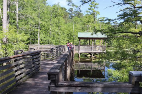 A wooden boardwalk leads through lush greenery, with a gazebo and calm water reflecting the trees nearby.