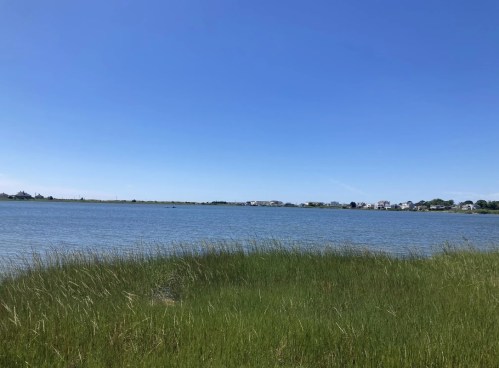 A serene view of a calm lake surrounded by green grass under a clear blue sky. Houses are visible in the distance.