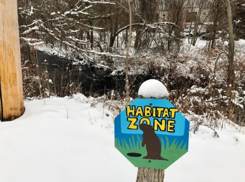 A colorful sign reading "Habitat Zone" stands in a snowy landscape near a stream, surrounded by bare trees.