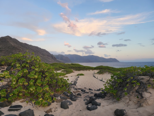 A serene beach scene with sandy dunes, lush greenery, and mountains under a colorful sky at sunset.