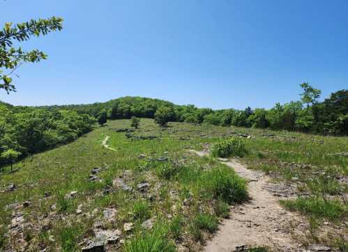 A rocky, grassy landscape under a clear blue sky, with a winding path leading through lush green trees.