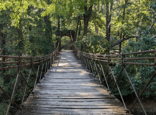 A wooden suspension bridge surrounded by lush green trees in a serene forest setting.