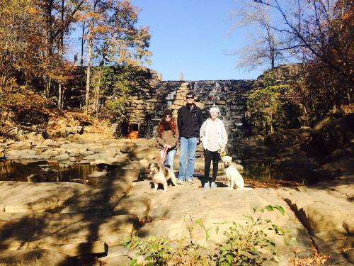 A group of four people and two dogs stand on rocky terrain near a waterfall surrounded by autumn trees.