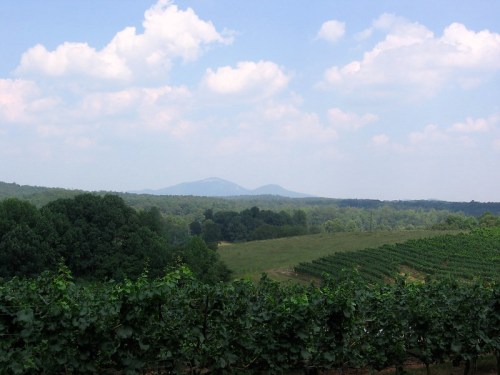 A scenic view of rolling hills and vineyards under a blue sky with fluffy clouds in the background.