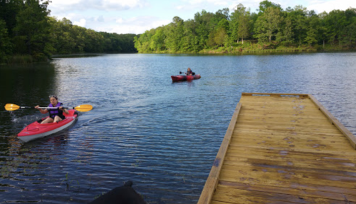 Two people kayaking on a calm lake surrounded by lush greenery, with a wooden dock in the foreground.