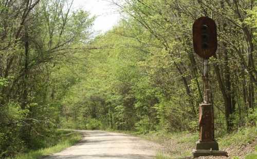 A rusty traffic signal stands beside a dirt road, surrounded by lush green trees in a tranquil forest setting.