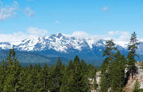 Snow-capped mountains rise above a forest of evergreen trees under a clear blue sky.