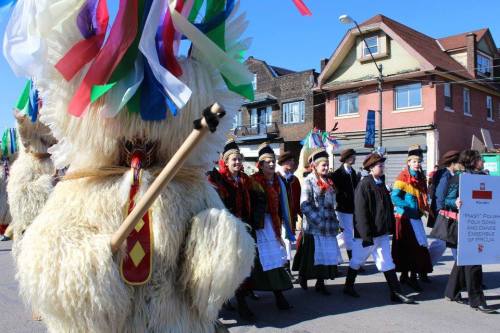 A colorful parade featuring a large bear costume and people in traditional attire, celebrating Polish culture.