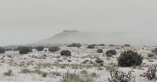 A snowy landscape with a distant hill shrouded in mist, surrounded by sparse vegetation.