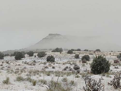 A snowy landscape with a distant hill shrouded in mist, surrounded by sparse vegetation.