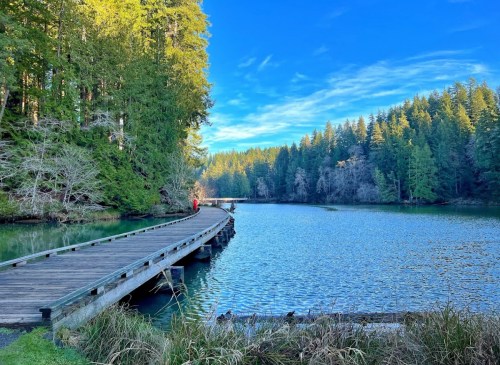 A wooden walkway extends into a serene lake, surrounded by lush green trees and a clear blue sky.