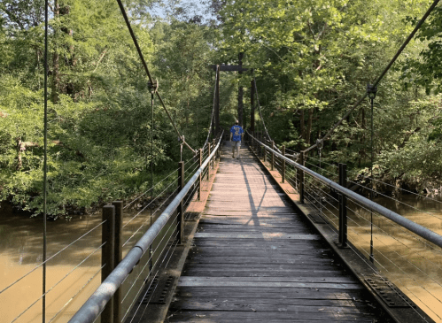 A person walks on a wooden suspension bridge surrounded by lush green trees and a calm river below.