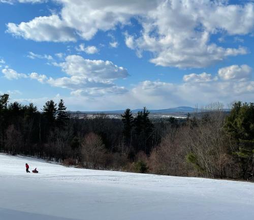 Two people sledding down a snowy hill, surrounded by trees and a scenic view of distant mountains under a blue sky.
