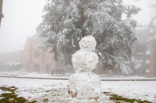 A snowman stands in a snowy park, surrounded by fog and a large tree, with a building visible in the background.