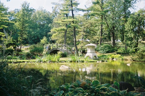 A serene park scene featuring a pond, a stone bridge, lush greenery, and a lantern amidst trees.