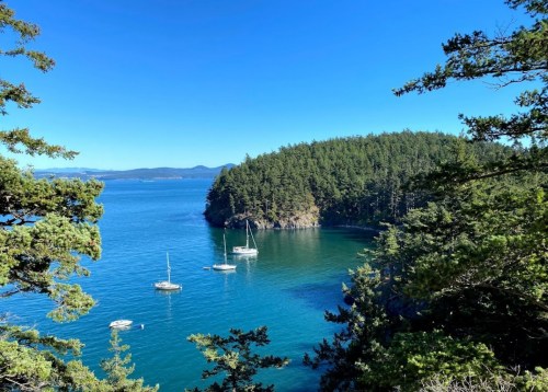 A serene coastal view with sailboats anchored in a calm bay, surrounded by lush green trees and clear blue skies.