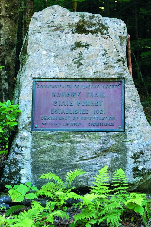 A stone monument with a plaque marking the Mohawk Trail State Forest, established in 1921, surrounded by ferns.