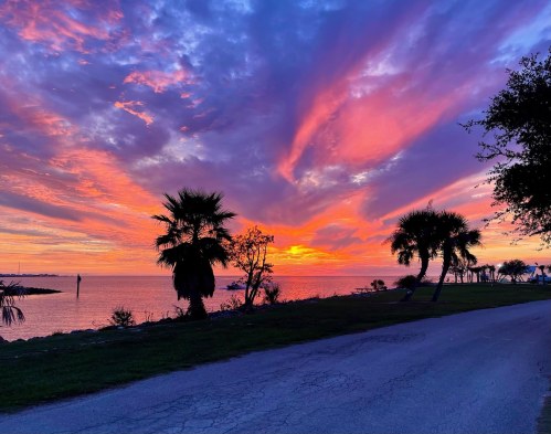 Vibrant sunset over the water, with colorful clouds and silhouetted palm trees along a quiet road.