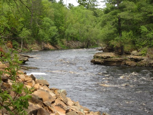 A serene river flows through a lush green forest, with rocky banks and trees lining the water's edge.