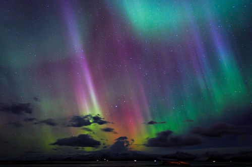 Vibrant auroras dance across a starry night sky, with hues of green, purple, and blue illuminating the landscape below.