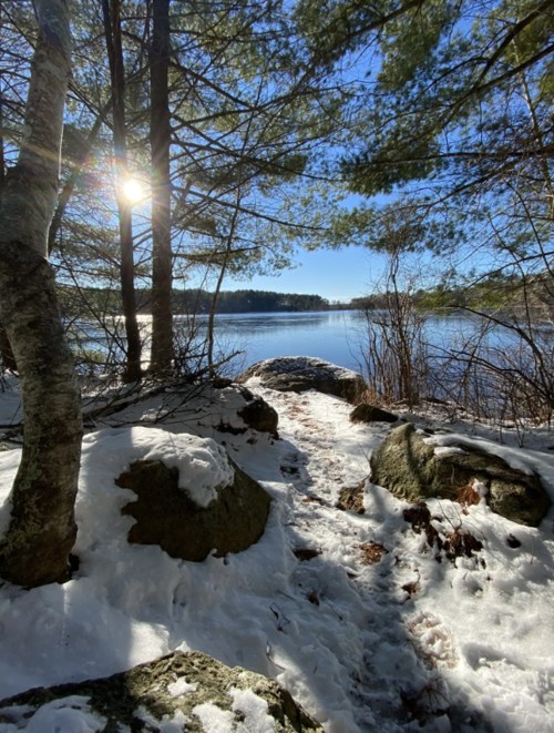 A serene winter scene with snow-covered rocks, trees, and a calm lake under a clear blue sky. Sunlight filters through the trees.