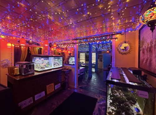 A vibrant room with colorful lights, aquariums, and a cozy atmosphere, creating a lively and inviting space.
