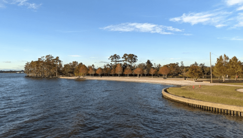 A serene lakeside view with trees, a sandy shore, and a clear blue sky.
