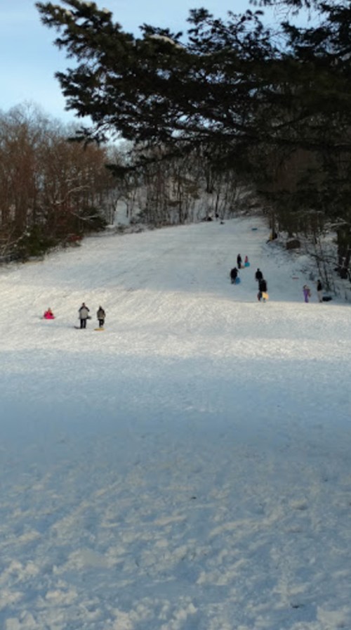 A snowy hill with people sledding and playing in the snow, surrounded by trees on a clear day.