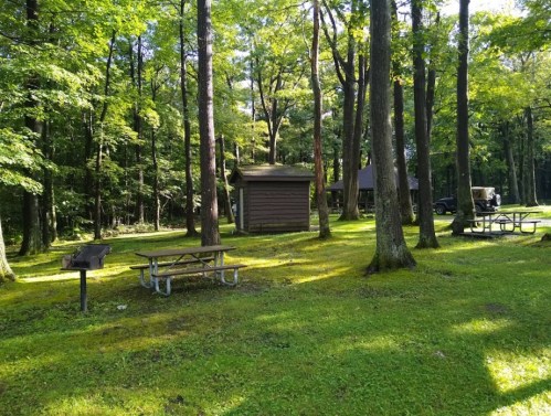 A serene forest scene with picnic tables, a grill, and wooden structures surrounded by lush green trees.