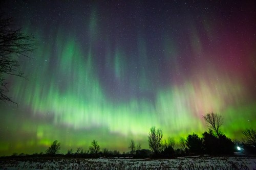 A vibrant display of the northern lights illuminates the night sky, with green and purple hues over a snowy landscape.