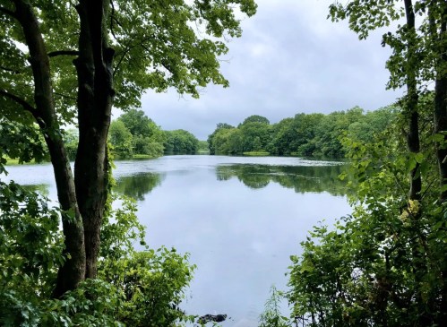 A serene lake surrounded by lush green trees under a cloudy sky, reflecting the landscape in calm waters.